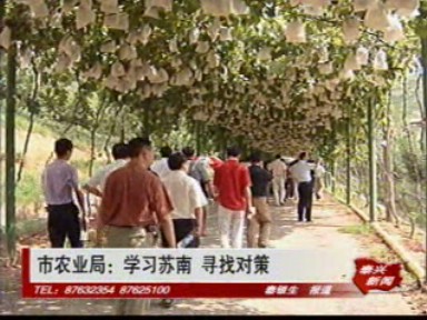 市农业局:学习苏南 寻找对策