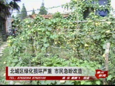 北城区绿化损坏严重 市民急盼改造