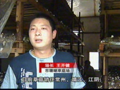 王开健:创造泰兴草菇产量之最