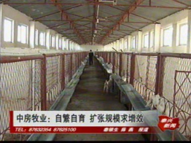 中房牧业:自繁自育 扩张规模求增效