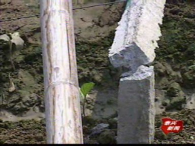 新闻现场:大风过后 新街大棚损失百万元