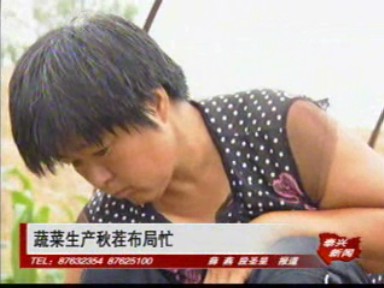 蔬菜生产秋茬布局忙