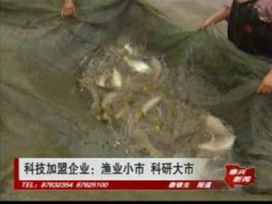 科技加盟企业:渔业小市 科研大市