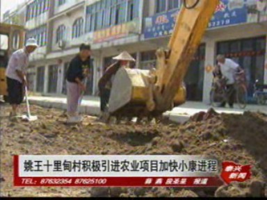 姚王十里甸村积极引进农业项目 加快小康进程