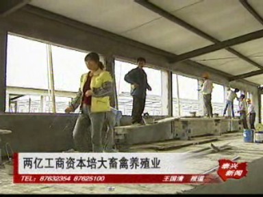 两亿工商资本培大畜禽养殖业