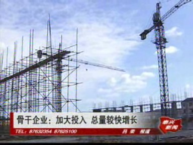 骨干企业:加大投入 总量较快增长