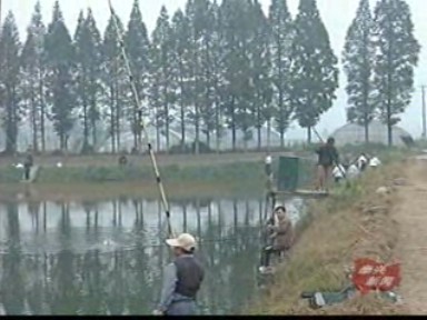 塘口爆满 假日体验钓鱼乐