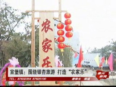 宣堡镇:围绕银杏旅游 打造农家乐_泰兴新闻_