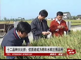 十二品种大比拼:优质者成为明年水稻主推品种