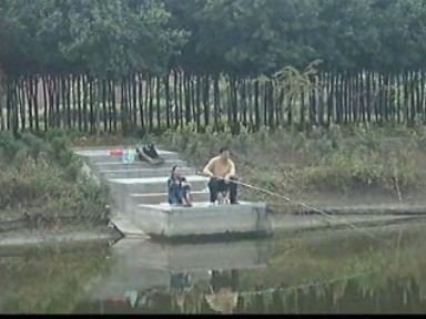 记者观察:生态观光农业要集聚发展_泰兴新闻_