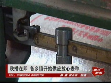 秋播在即 各乡镇开始供应放心麦种