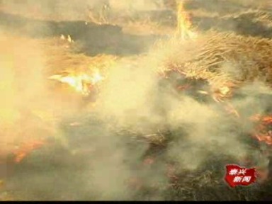 焚烧秸秆 为何屡禁不止?_泰兴新闻_泰兴网