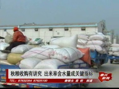 秋粮收购有讲究 出米率含水量成关键指标