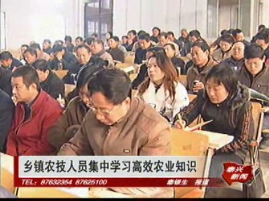 乡镇农技人员集中学习高效农业知识