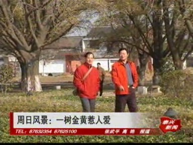 初冬时节,江苏省古银杏森林公园成为游客观光休闲的好去处