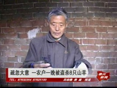 疏忽大意 一农户一晚被盗杀8只山羊