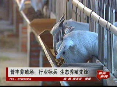 普丰养殖场:行业标兵 生态养殖先锋