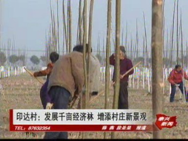 印达村:发展千亩经济林 增添村庄新景观