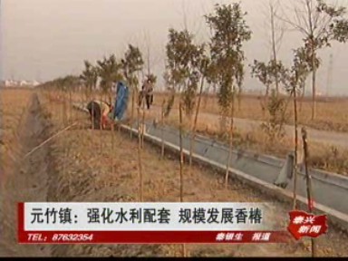 元竹镇:强化水利配套 规模发展香椿