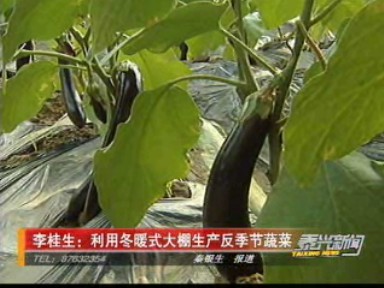李桂生:利用冬暖式大棚生产反季节蔬菜