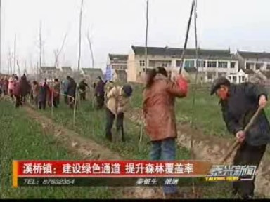 溪桥镇:建设绿色通道 提升森林覆盖率