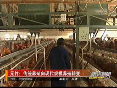 元竹:传统养殖向现代规模养殖转变