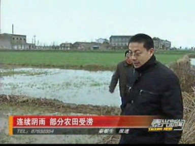 连续阴雨 部分农田受涝