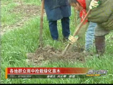 各地群众雨中抢栽绿化苗木