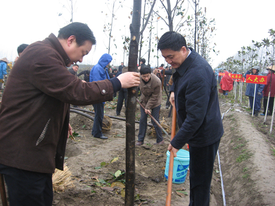 市四套班子领导及机关干部冒雨植树
