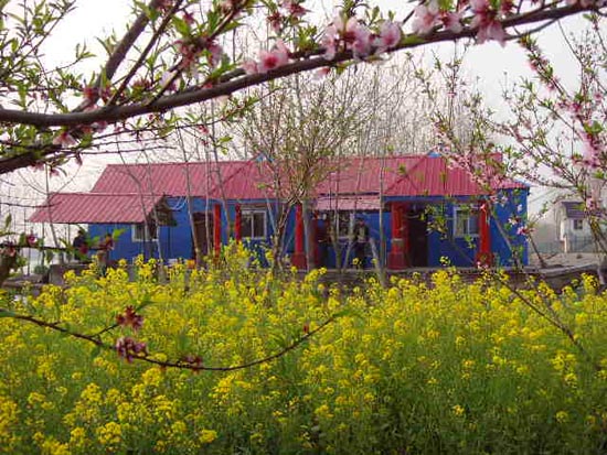 蒋华镇三桥村:把江滩变成“聚宝盆”