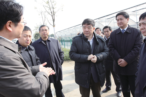 徐鸣视察黄桥经济社会发展情况 三化融合加