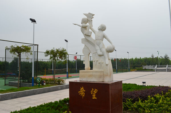 燃烧的火炬--追记泰兴市姚王镇毛庄村党总支书