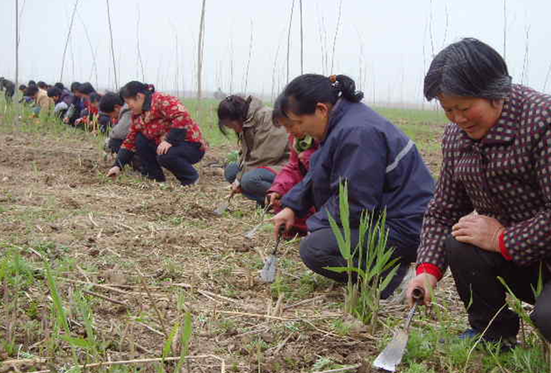 虹桥镇精心组织春季血防查螺工作 - 泰兴市新闻