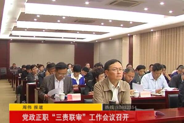 党政正职三责联审工作会议召开 - 泰兴市新闻