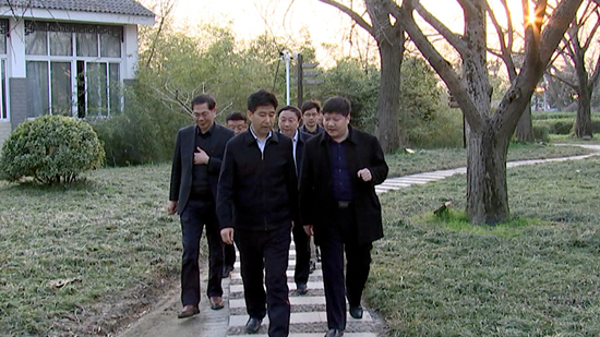 曲福田调研我市乡村振兴工作