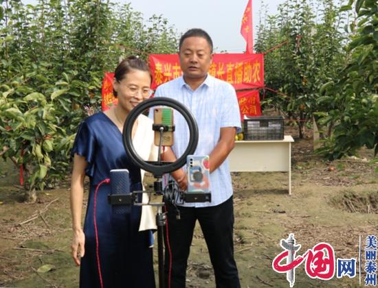 ̩����ɺ���򣺴������� ������塰�ˡ�����